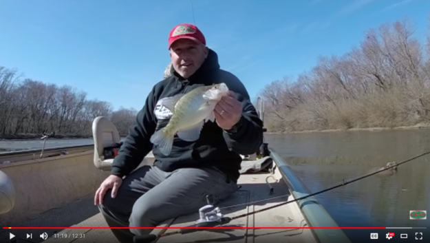 Dead Sticking Crappie with Fle Fly