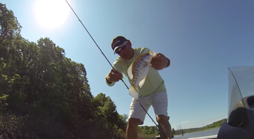 Fishing Tips For Catching Crappie Around Standing Timber