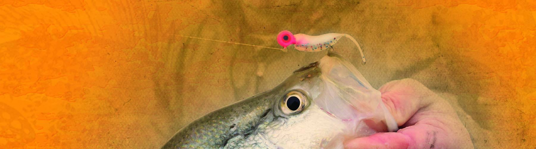 FleFly Fishing Tackle Soft Plastics and Jigs for Crappies, Stripers